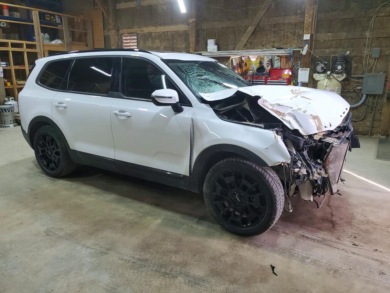 Kia Telluride Ex