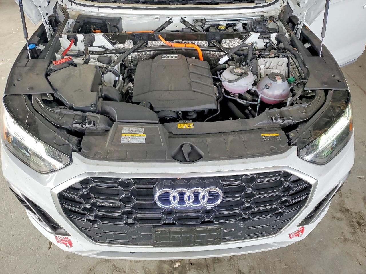 Audi Q5 Premium Plus 55