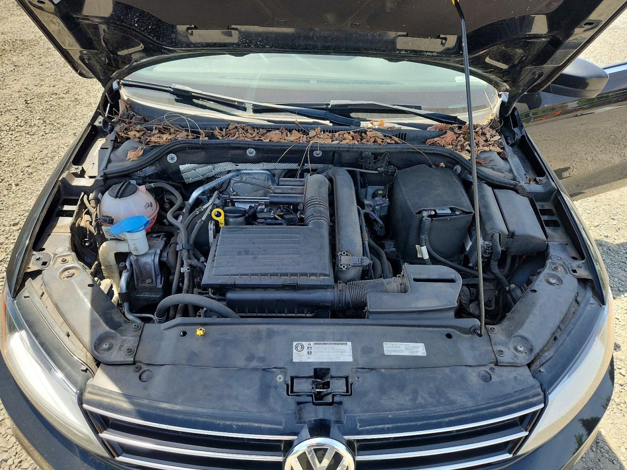 Volkswagen Jetta S