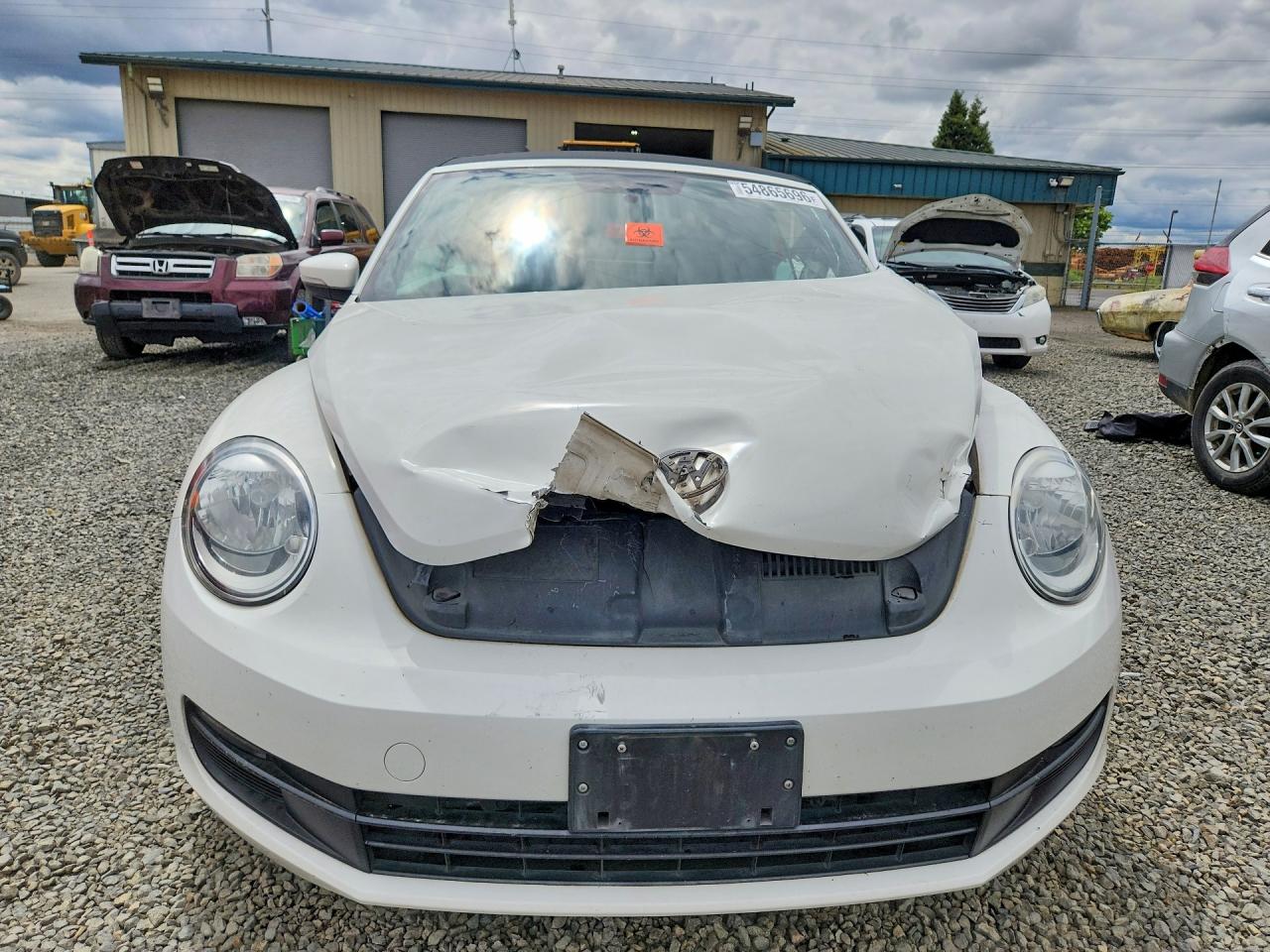 Volkswagen Beetle