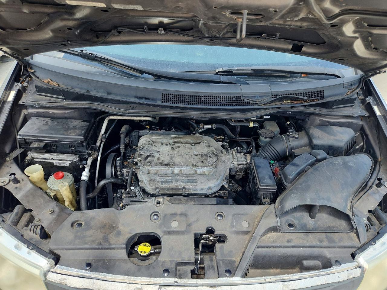 Honda Odyssey Exl