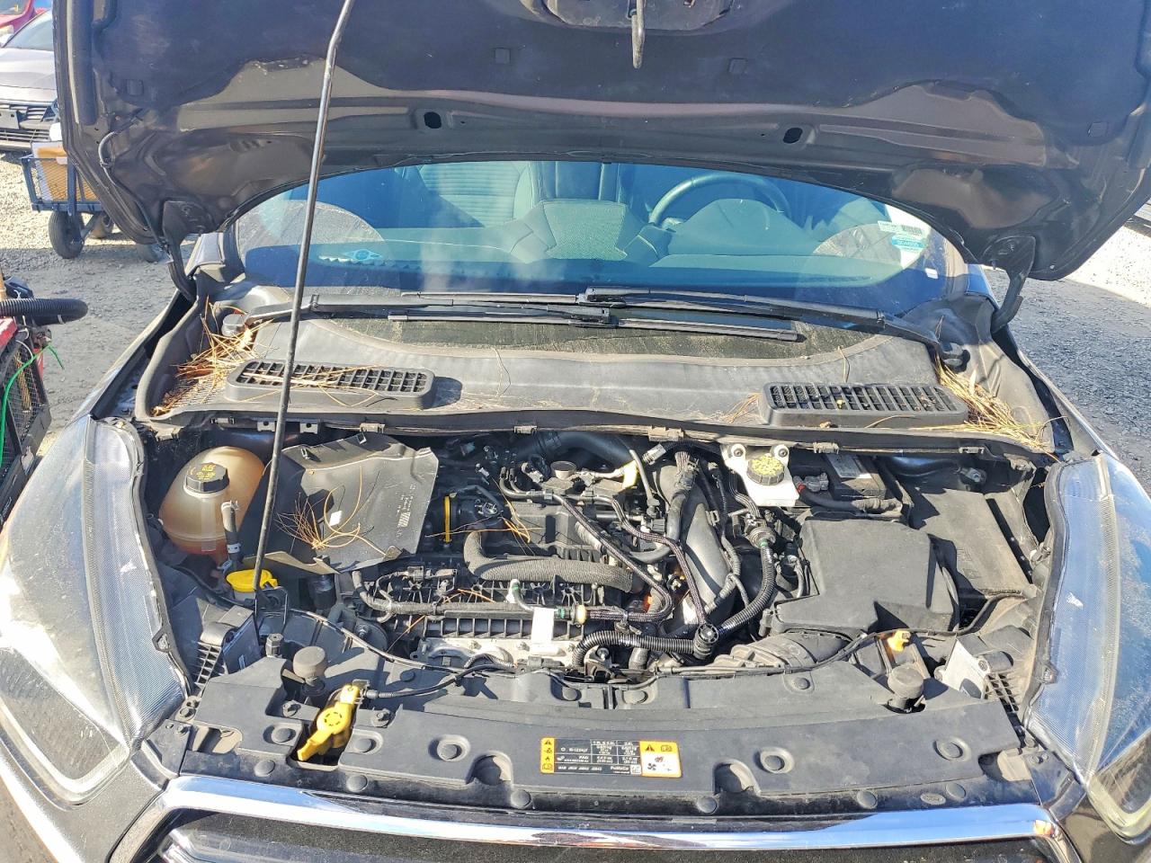 Ford Escape Se