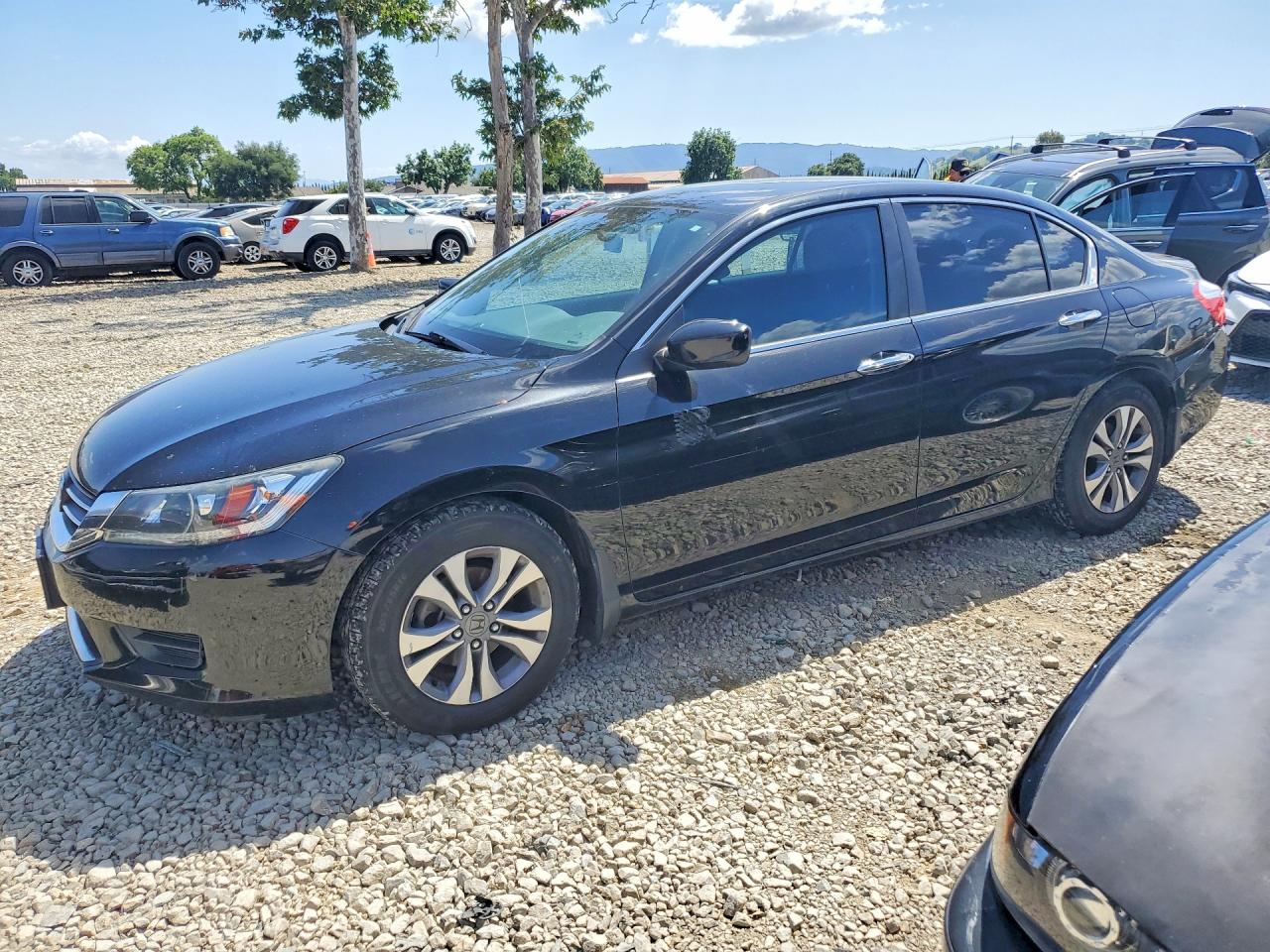 Salvage Honda Accord Image