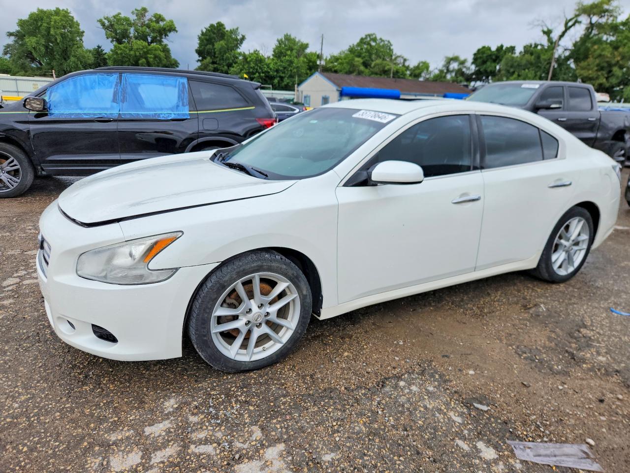 Salvage Nissan Maxima Image