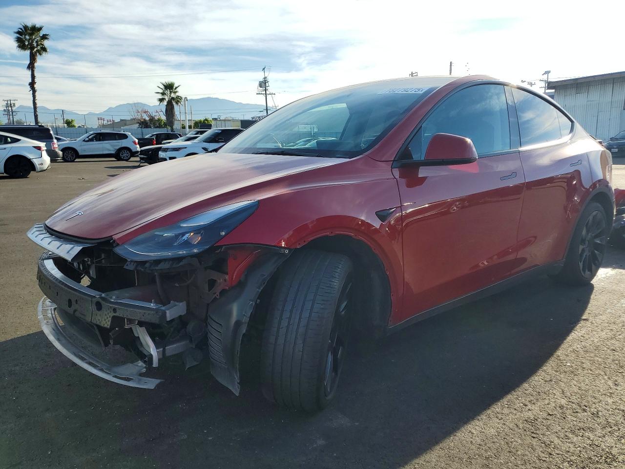 Salvage Tesla Model Y Image