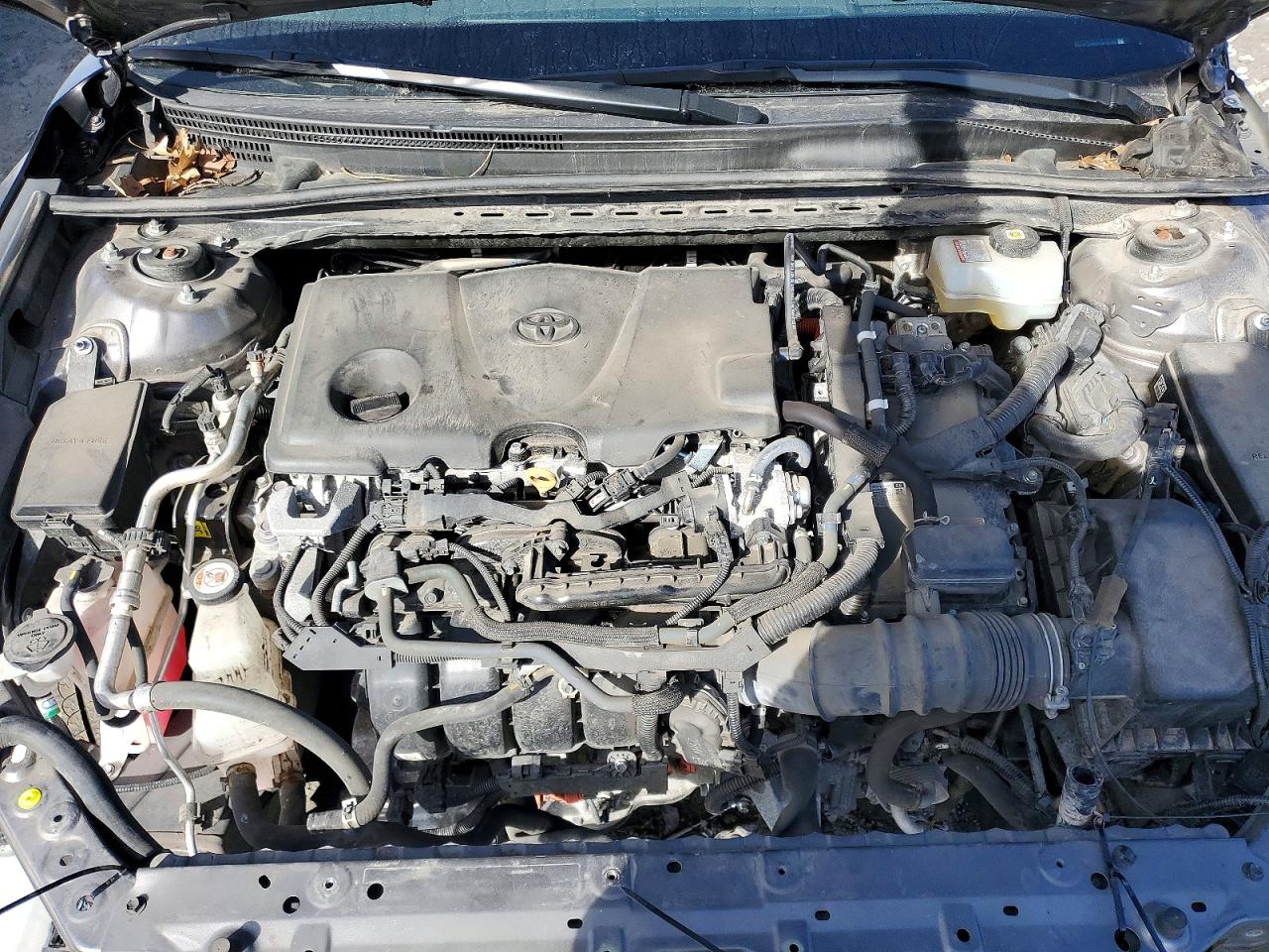 Toyota Camry Xle