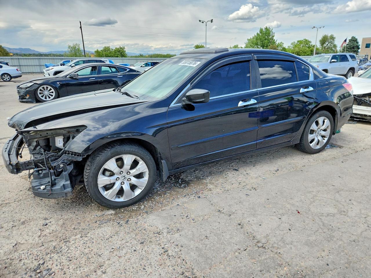 Salvage Honda Accord Image