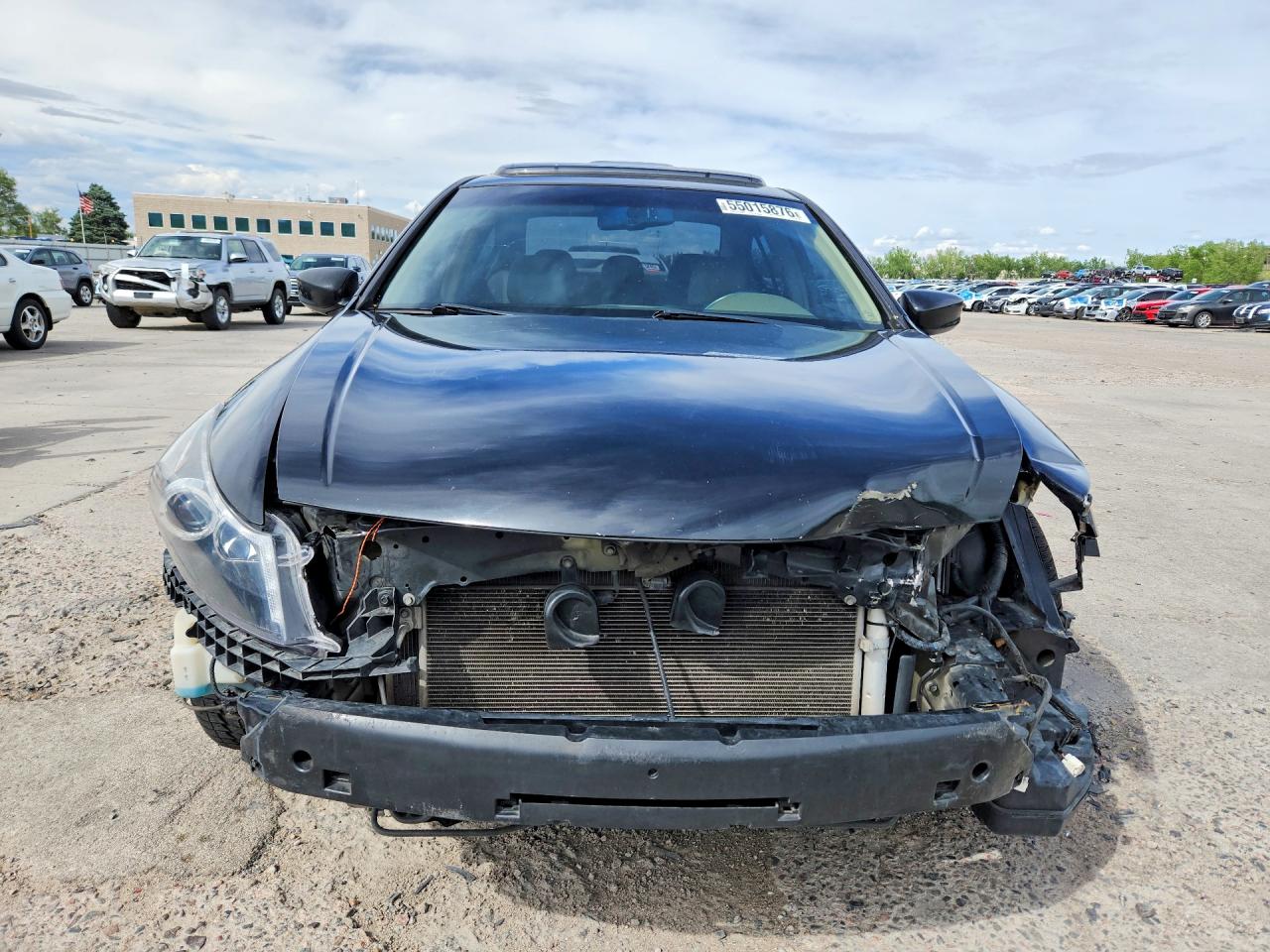 Honda Accord Exl