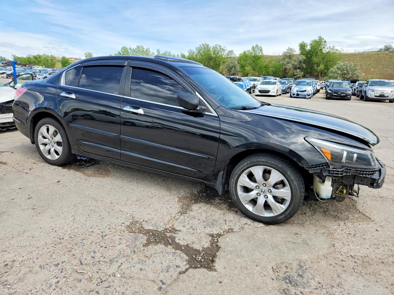 Honda Accord Exl