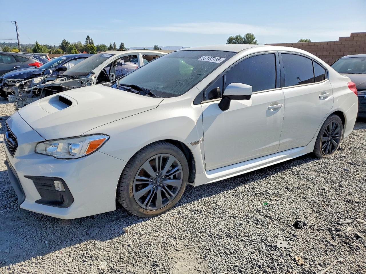 Salvage Subaru WRX Image