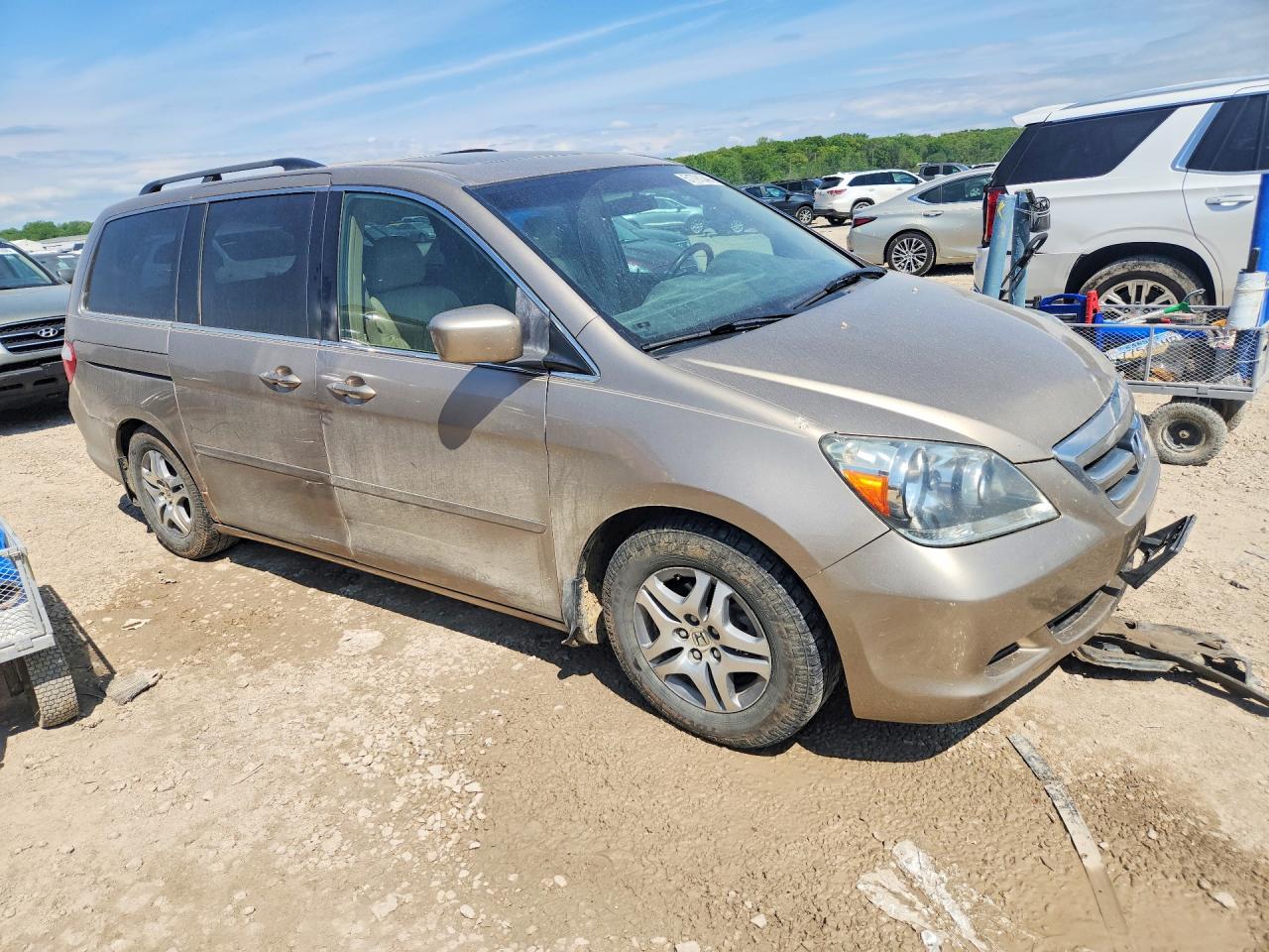 Honda Odyssey Exl