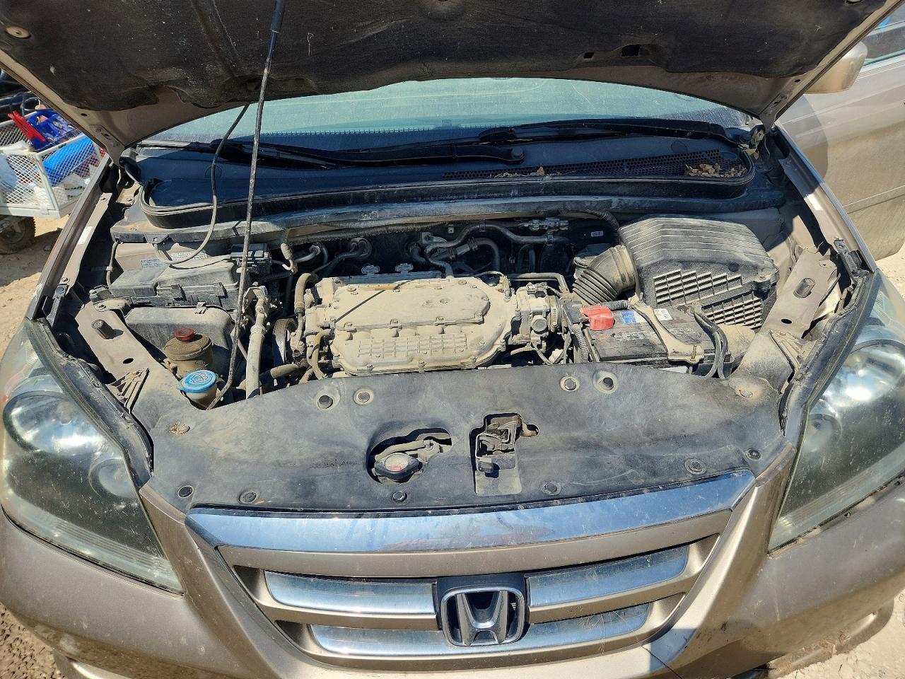 Honda Odyssey Exl