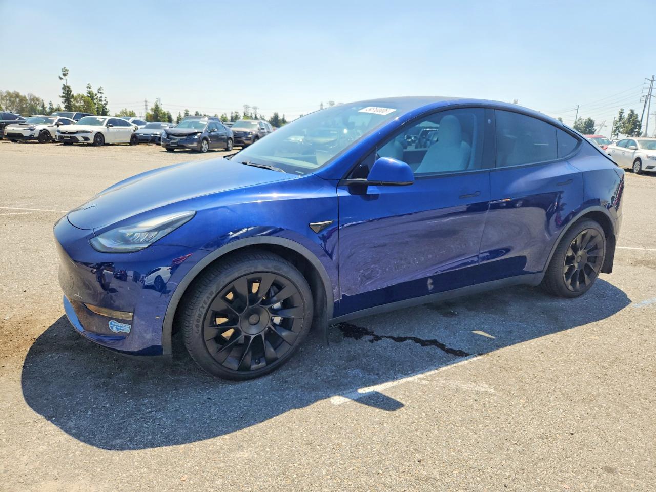 Salvage Tesla Model Y Image