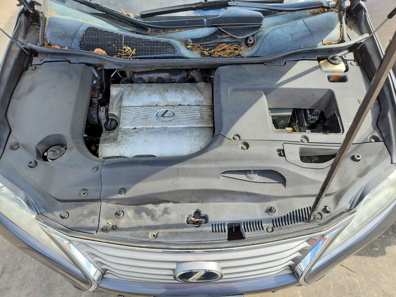 Lexus RX Base