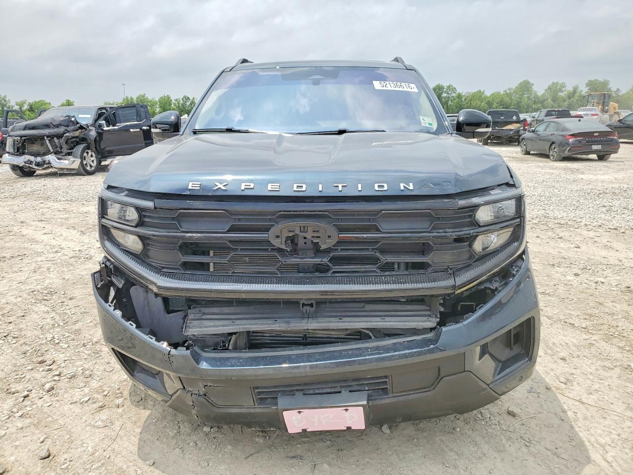 Ford Expedition Active