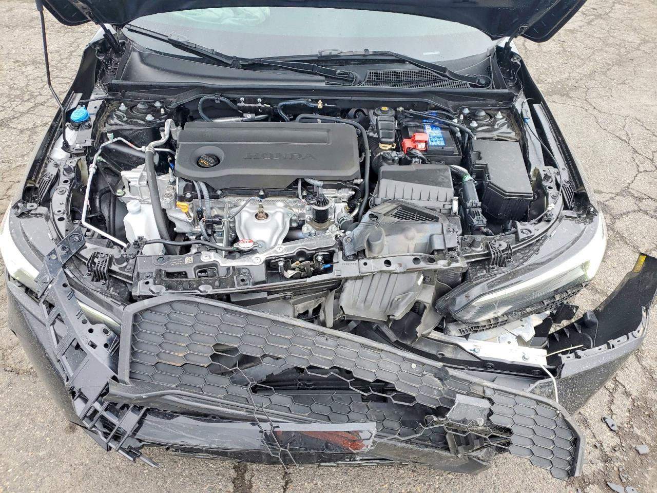 Honda Civic Sport