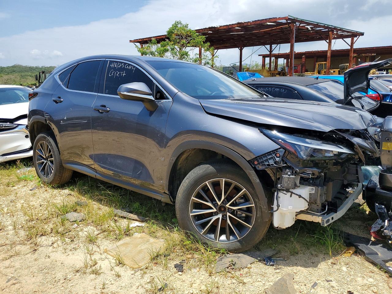 Lexus Other Premium