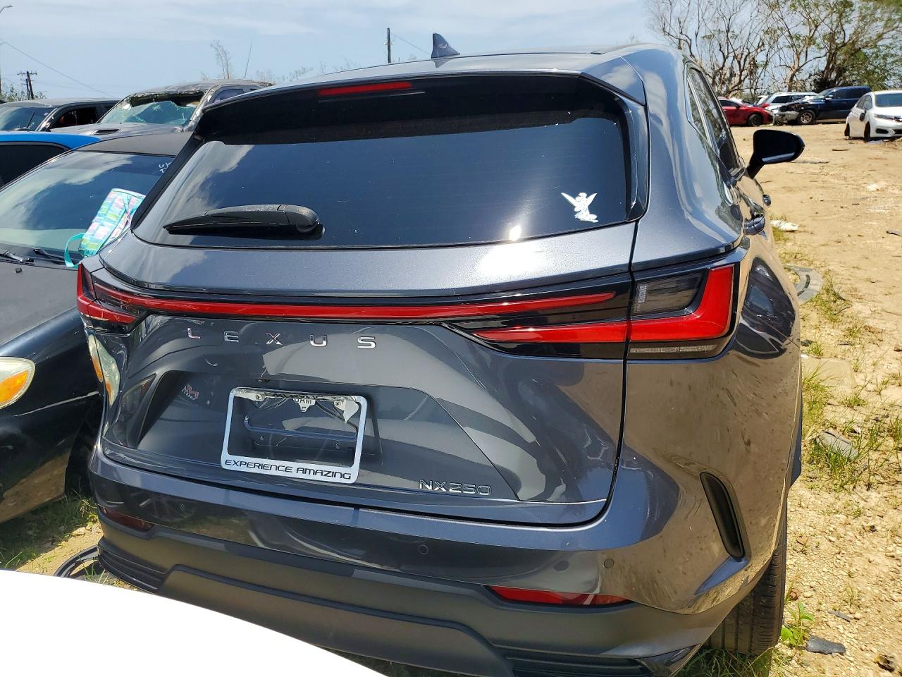 Lexus Other Premium