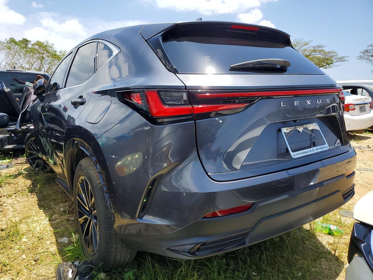 Lexus Other Premium