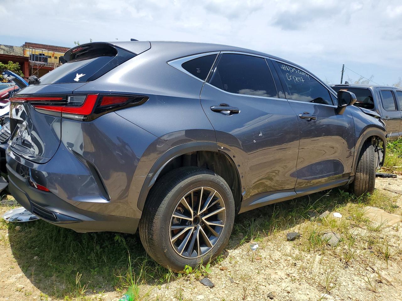 Lexus Other Premium