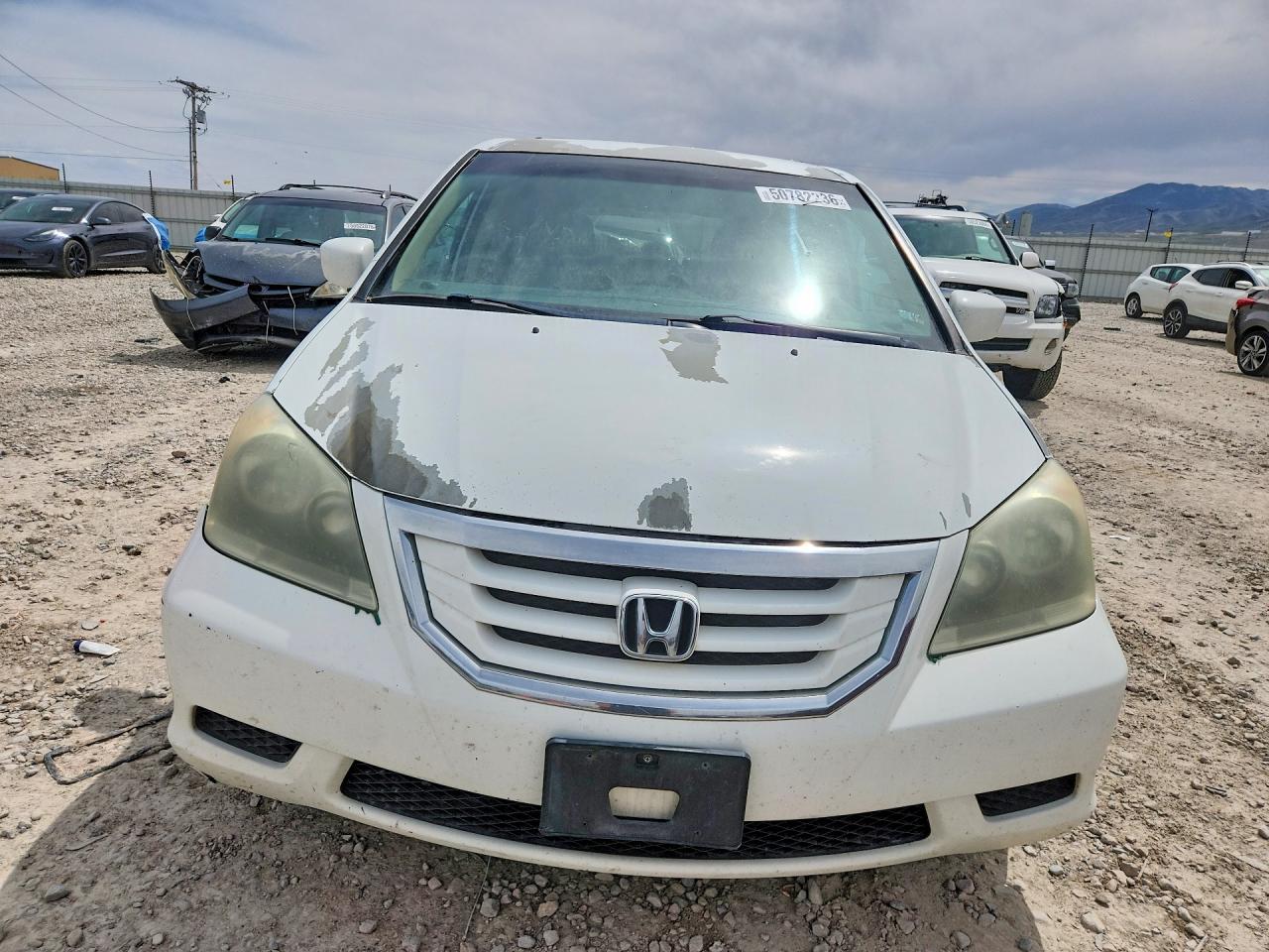 Honda Odyssey Ex
