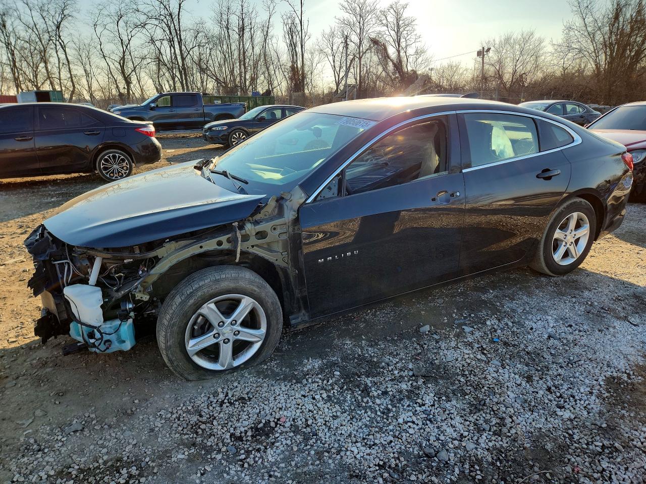Salvage Chevrolet Malibu Image