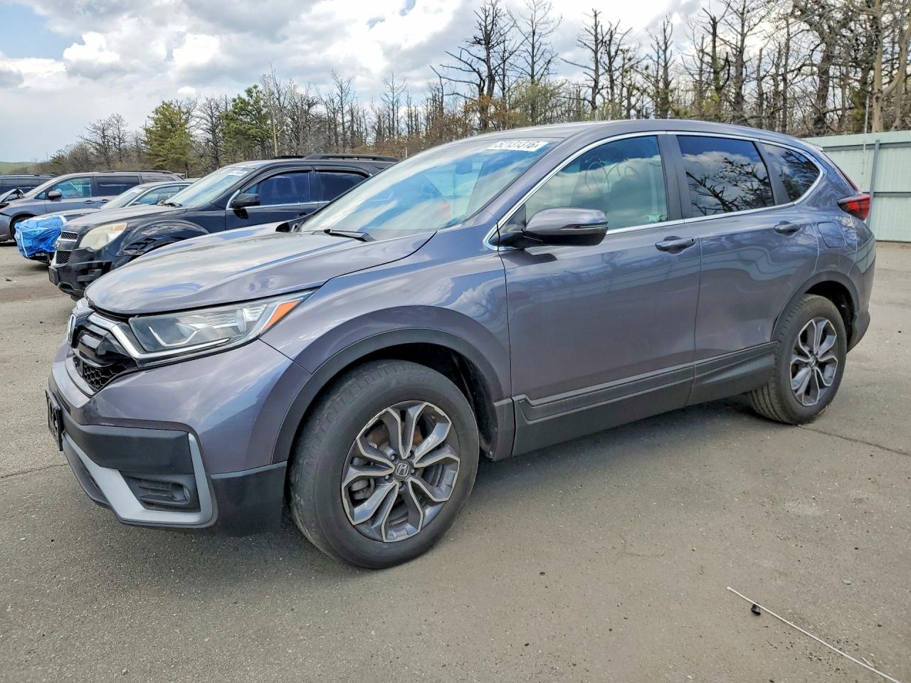 Salvage Honda Crv Image