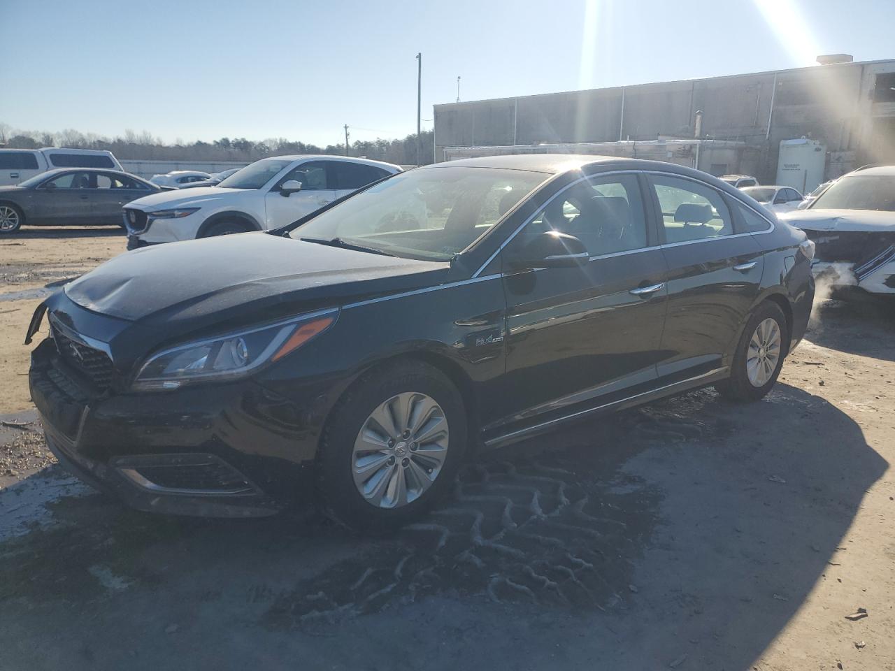 Salvage Hyundai SONATA Image