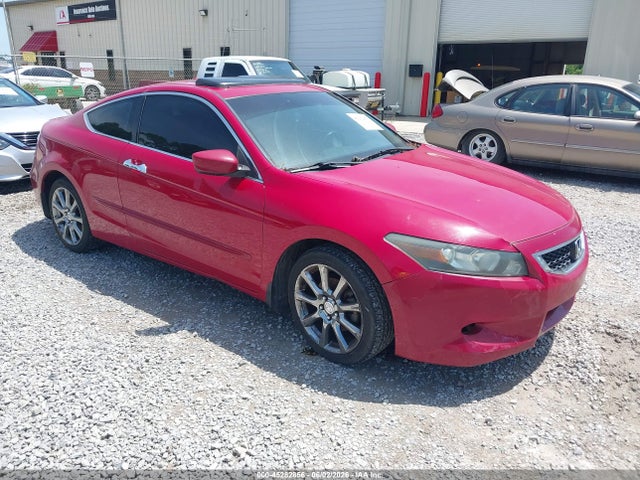 Salvage Honda Accord Image
