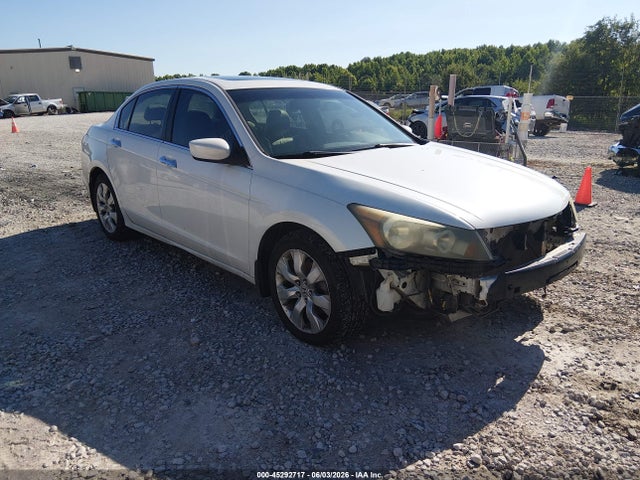 Salvage Honda Accord Image