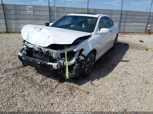 Honda Accord Ex-l V-6