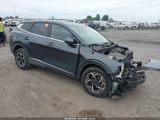 Salvage Kia Sportage Image