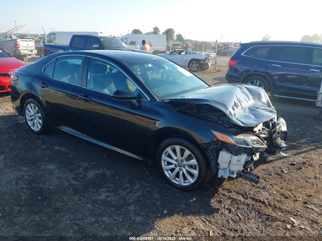 Salvage Toyota Camry Image