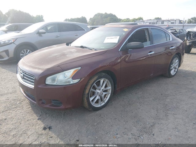 Nissan Maxima 3.5 S