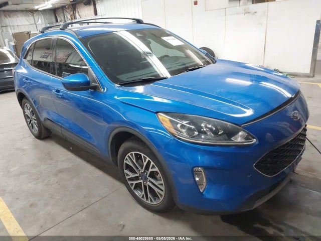 Salvage Ford Escape Image