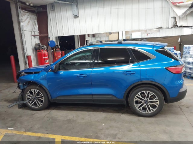 Ford Escape Sel