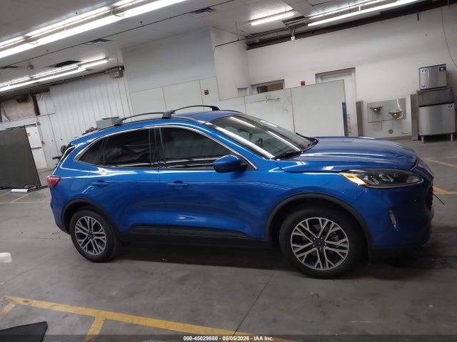 Ford Escape Sel