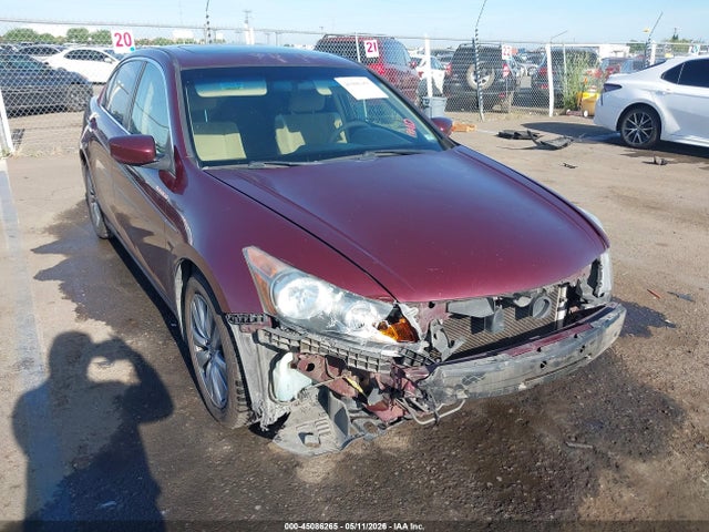 Salvage Honda Accord Image