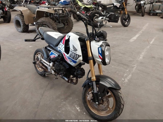 Salvage Honda Grom Image