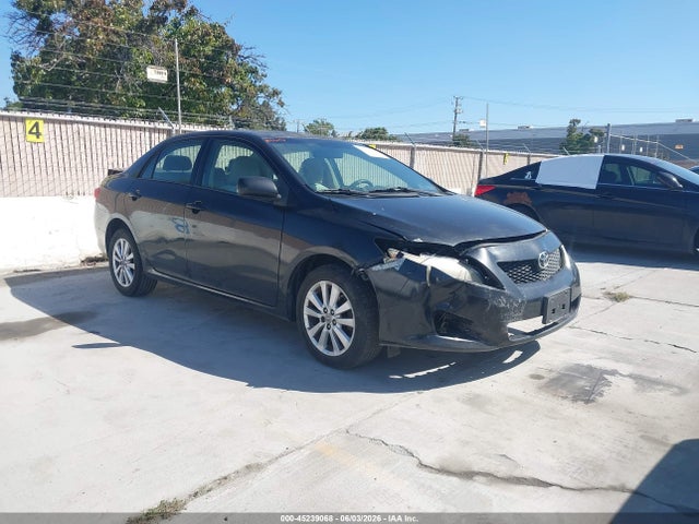 Salvage Toyota Corolla Image