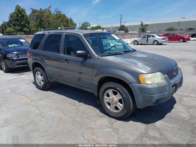 Salvage Ford Escape Image