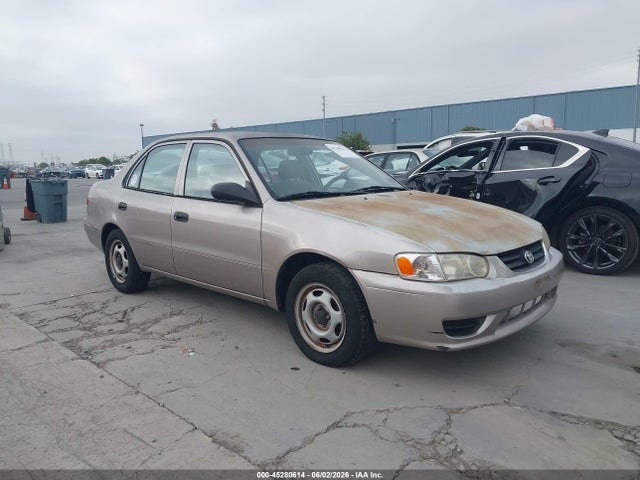 Salvage Toyota Corolla Image
