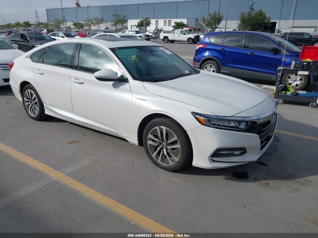 Salvage Honda Accord Image