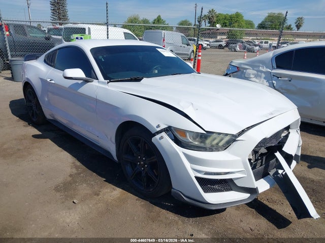 Salvage Ford Mustang Image