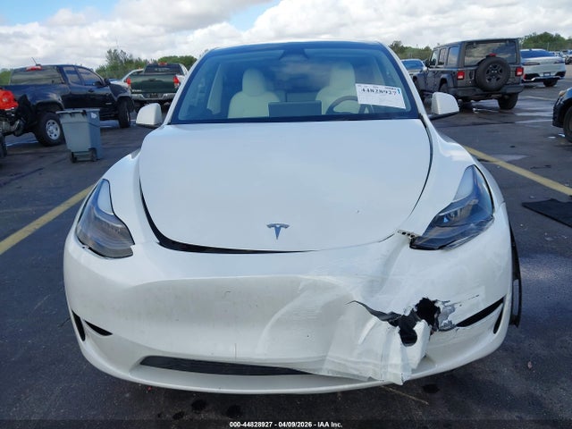 Tesla Model Y Rwd