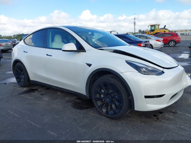 Salvage Tesla Model Y Image