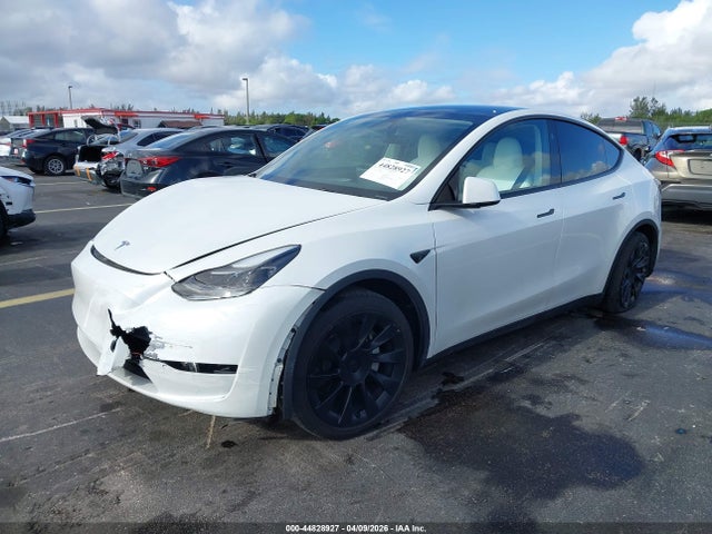 Tesla Model Y Rwd