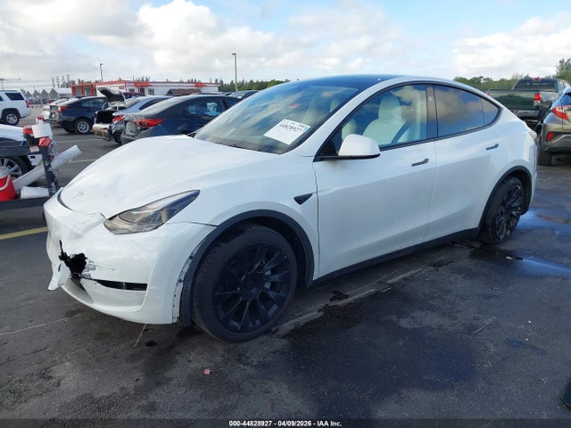 Tesla Model Y Rwd