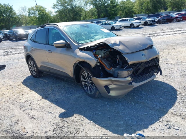 Salvage Ford Escape Image