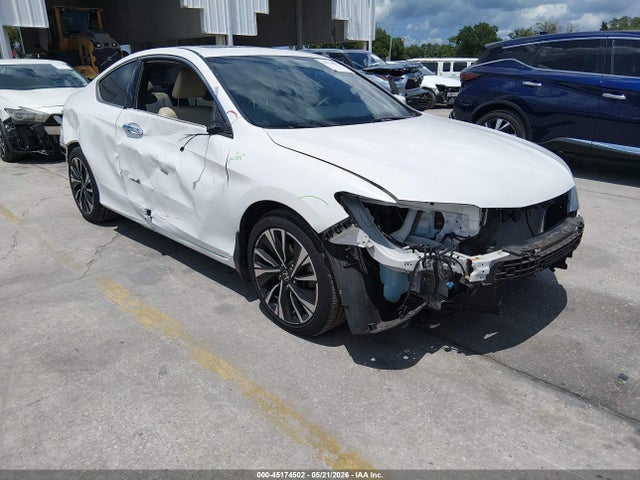 Salvage Honda Accord Image